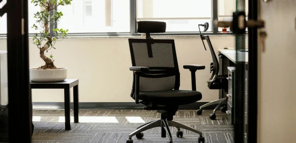 Exective Chairs